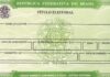 CORRIDA CONTRA O PRAZO: CARTÓRIOS ELEITORAIS DE SC AMPLIAM ATENDIMENTO ANTES DO FECHAMENTO DO CADASTRO PARA AS ELEIÇÕES 2026