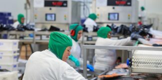 SANTA CATARINA TEM UM DOS MAIORES SALÁRIOS MÍNIMOS REGIONAIS DO PAÍS