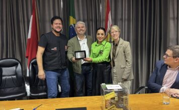 PROGRAMA DO PROCON S/C:BLUMENAU ADERE AO “LIMPA FIO” E INICIA RETIRADA DE CABOS IRREGULARES NAS RUAS DA CIDADE