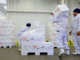 SANTA CATARINA ACELERA GERAÇÃO DE EMPREGOS E CONSOLIDA LIDERANÇA NACIONAL NA ECONOMIA