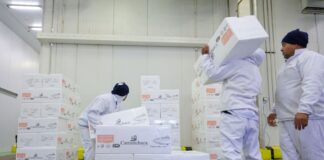 SANTA CATARINA ACELERA GERAÇÃO DE EMPREGOS E CONSOLIDA LIDERANÇA NACIONAL NA ECONOMIA