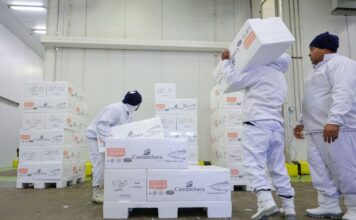 SANTA CATARINA ACELERA GERAÇÃO DE EMPREGOS E CONSOLIDA LIDERANÇA NACIONAL NA ECONOMIA