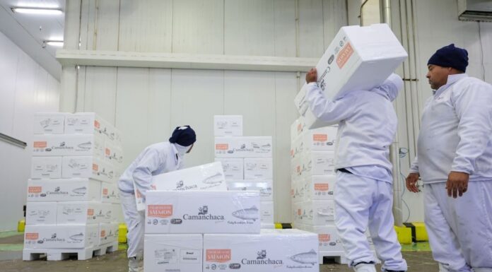 SANTA CATARINA ACELERA GERAÇÃO DE EMPREGOS E CONSOLIDA LIDERANÇA NACIONAL NA ECONOMIA