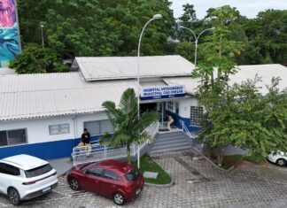 HOSPITAL VETERINÁRIO MUNICIPAL REGISTRA ALTA DEMANDA NO PRIMEIRO MÊS DE FUNCIONAMENTO EM FLORIANÓPOLIS