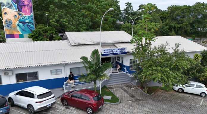 HOSPITAL VETERINÁRIO MUNICIPAL REGISTRA ALTA DEMANDA NO PRIMEIRO MÊS DE FUNCIONAMENTO EM FLORIANÓPOLIS