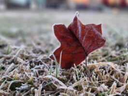 FRIO INTENSO CHEGA A SANTA CATARINA NESTA QUINTA-FEIRA COM MÍNIMAS DE -5°C
