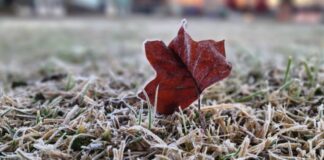 FRIO INTENSO CHEGA A SANTA CATARINA NESTA QUINTA-FEIRA COM MÍNIMAS DE -5°C