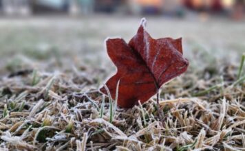 FRIO INTENSO CHEGA A SANTA CATARINA NESTA QUINTA-FEIRA COM MÍNIMAS DE -5°C