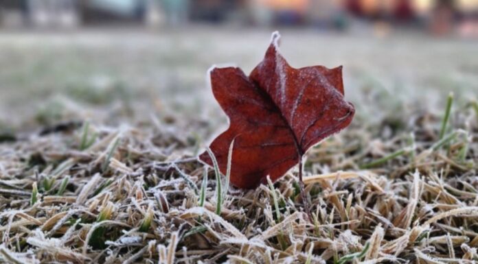 FRIO INTENSO CHEGA A SANTA CATARINA NESTA QUINTA-FEIRA COM MÍNIMAS DE -5°C