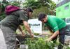 FLORIANÓPOLIS PROMOVE JORNADA VERDE COM MAIS DE 40 ATIVIDADES GRATUITAS VOLTADAS À EDUCAÇÃO AMBIENTAL E RESILIÊNCIA CLIMÁTICA