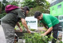 FLORIANÓPOLIS PROMOVE JORNADA VERDE COM MAIS DE 40 ATIVIDADES GRATUITAS VOLTADAS À EDUCAÇÃO AMBIENTAL E RESILIÊNCIA CLIMÁTICA