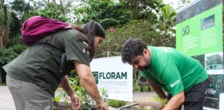 FLORIANÓPOLIS PROMOVE JORNADA VERDE COM MAIS DE 40 ATIVIDADES GRATUITAS VOLTADAS À EDUCAÇÃO AMBIENTAL E RESILIÊNCIA CLIMÁTICA