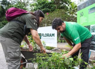 FLORIANÓPOLIS PROMOVE JORNADA VERDE COM MAIS DE 40 ATIVIDADES GRATUITAS VOLTADAS À EDUCAÇÃO AMBIENTAL E RESILIÊNCIA CLIMÁTICA