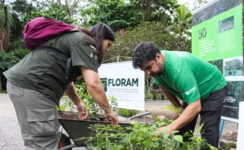 FLORIANÓPOLIS PROMOVE JORNADA VERDE COM MAIS DE 40 ATIVIDADES GRATUITAS VOLTADAS À EDUCAÇÃO AMBIENTAL E RESILIÊNCIA CLIMÁTICA