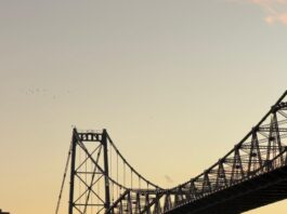PONTE HERCÍLIO LUZ INSPIRA LANÇAMENTO DE LIVRO COM IMAGENS RARAS E MEMÓRIA AFETIVA DE FLORIANÓPOLIS
