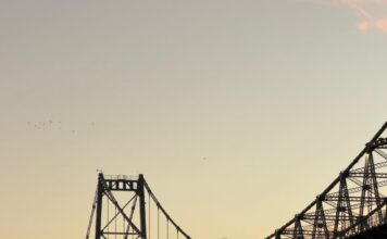 PONTE HERCÍLIO LUZ INSPIRA LANÇAMENTO DE LIVRO COM IMAGENS RARAS E MEMÓRIA AFETIVA DE FLORIANÓPOLIS
