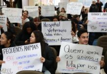 ALESC: AUDIÊNCIA PÚBLICA REFORÇA MOBILIZAÇÃO PELA IMPLANTAÇÃO DE HOSPITAL VETERINÁRIO PÚBLICO EM CURITIBANOS