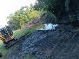 FORÇA-TAREFA INTENSIFICA LIMPEZA DE VALAS E CÓRREGOS PARA PREVENIR ALAGAMENTOS EM PALHOÇA