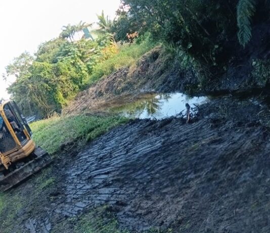 FORÇA-TAREFA INTENSIFICA LIMPEZA DE VALAS E CÓRREGOS PARA PREVENIR ALAGAMENTOS EM PALHOÇA