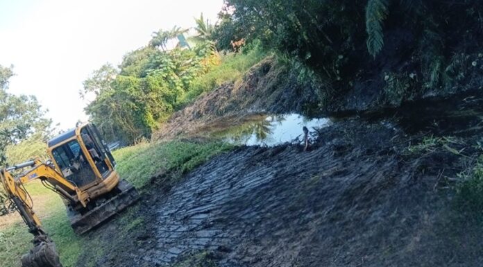 FORÇA-TAREFA INTENSIFICA LIMPEZA DE VALAS E CÓRREGOS PARA PREVENIR ALAGAMENTOS EM PALHOÇA