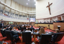 JOVENS DEPUTADOS ENCERRAM MANDATO NA ALESC COM PROPOSTAS PARA EDUCAÇÃO, INCLUSÃO, AGRONEGÓCIO E CIDADANIA