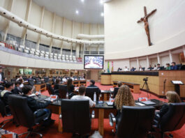 JOVENS DEPUTADOS ENCERRAM MANDATO NA ALESC COM PROPOSTAS PARA EDUCAÇÃO, INCLUSÃO, AGRONEGÓCIO E CIDADANIA
