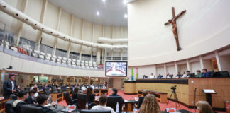 JOVENS DEPUTADOS ENCERRAM MANDATO NA ALESC COM PROPOSTAS PARA EDUCAÇÃO, INCLUSÃO, AGRONEGÓCIO E CIDADANIA