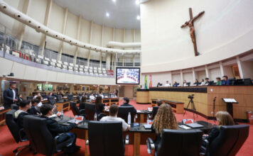 JOVENS DEPUTADOS ENCERRAM MANDATO NA ALESC COM PROPOSTAS PARA EDUCAÇÃO, INCLUSÃO, AGRONEGÓCIO E CIDADANIA