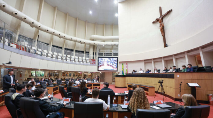 JOVENS DEPUTADOS ENCERRAM MANDATO NA ALESC COM PROPOSTAS PARA EDUCAÇÃO, INCLUSÃO, AGRONEGÓCIO E CIDADANIA