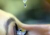 USO INDISCRIMINADO DE CORTICOIDES PODE AUMENTAR CASOS DE GLAUCOMA E LEVAR À CEGUEIRA, ALERTAM ESPECIALISTAS