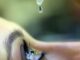 USO INDISCRIMINADO DE CORTICOIDES PODE AUMENTAR CASOS DE GLAUCOMA E LEVAR À CEGUEIRA, ALERTAM ESPECIALISTAS