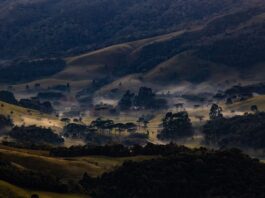 DEFESA CIVIL DE SANTA CATARINA EMITE AVISO PARA ONDA DE FRIO AO LONGO DESTA SEMANA