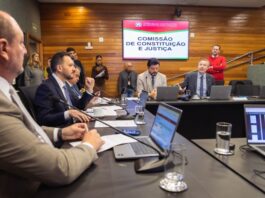 PROJETOS SOBRE BEM-ESTAR ANIMAL, PROTEÇÃO À INFÂNCIA E EDUCAÇÃO NO TRÂNSITO AVANÇAM NA ALESC