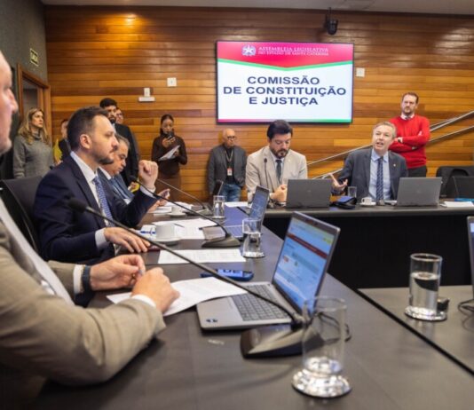 PROJETOS SOBRE BEM-ESTAR ANIMAL, PROTEÇÃO À INFÂNCIA E EDUCAÇÃO NO TRÂNSITO AVANÇAM NA ALESC