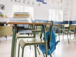 ENCERRADAS AS INSCRIÇÕES DO PRÊMIO PAZ NAS ESCOLAS, INICIATIVA QUE MOBILIZA ESTUDANTES NO COMBATE À VIOLÊNCIA E AO BULLYING