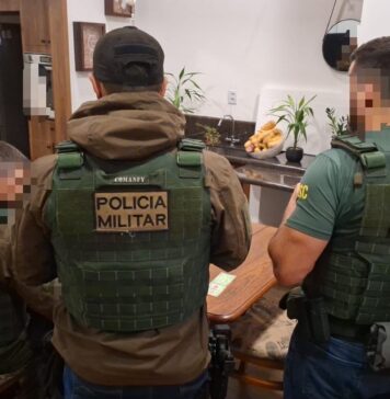 GAECO: OPERAÇÃO “PÃO E CIRCO” DESARTICULA SUPOSTO CARTEL DE SHOWS E MIRA ESQUEMA MILIONÁRIO DE FRAUDES EM LICITAÇÕES EM SC