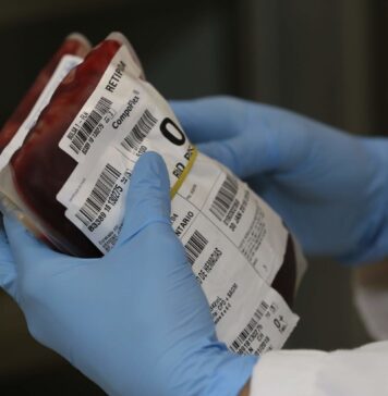 SANTA CATARINA: HEMOSC MOBILIZA POPULAÇÃO PARA MANTER ESTOQUES DE SANGUE EM NÍVEIS SEGUROS