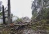 MUNICÍPIOS CATARINENSES DECRETAM SITUAÇÃO DE EMERGÊNCIA APÓS TEMPORAIS COM GRANIZO