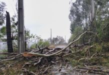 MUNICÍPIOS CATARINENSES DECRETAM SITUAÇÃO DE EMERGÊNCIA APÓS TEMPORAIS COM GRANIZO