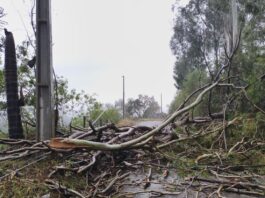 MUNICÍPIOS CATARINENSES DECRETAM SITUAÇÃO DE EMERGÊNCIA APÓS TEMPORAIS COM GRANIZO