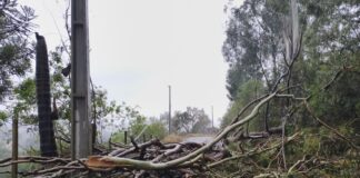 MUNICÍPIOS CATARINENSES DECRETAM SITUAÇÃO DE EMERGÊNCIA APÓS TEMPORAIS COM GRANIZO