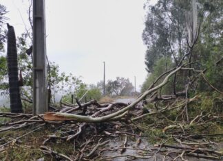 MUNICÍPIOS CATARINENSES DECRETAM SITUAÇÃO DE EMERGÊNCIA APÓS TEMPORAIS COM GRANIZO