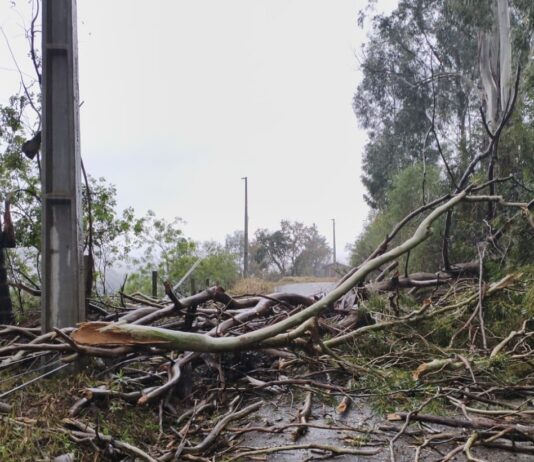 MUNICÍPIOS CATARINENSES DECRETAM SITUAÇÃO DE EMERGÊNCIA APÓS TEMPORAIS COM GRANIZO