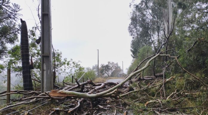 MUNICÍPIOS CATARINENSES DECRETAM SITUAÇÃO DE EMERGÊNCIA APÓS TEMPORAIS COM GRANIZO
