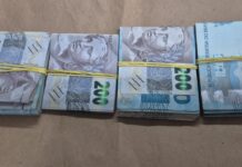 MPSC/GAECO: OPERAÇÃO GAIOLA DIGITAL MIRA SUPOSTO ESQUEMA MILIONÁRIO DE FRAUDE EM LICITAÇÕES EM SANTA CATARINA