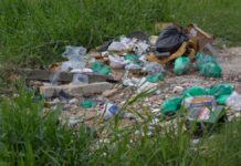 PREFEITURA DE FLORIANÓPOLIS ENDURECE REGRAS CONTRA TERRENOS ABANDONADOS E DÁ PRAZO DE 48 HORAS PARA LIMPEZA