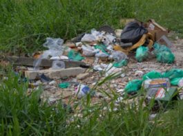 PREFEITURA DE FLORIANÓPOLIS ENDURECE REGRAS CONTRA TERRENOS ABANDONADOS E DÁ PRAZO DE 48 HORAS PARA LIMPEZA