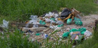 PREFEITURA DE FLORIANÓPOLIS ENDURECE REGRAS CONTRA TERRENOS ABANDONADOS E DÁ PRAZO DE 48 HORAS PARA LIMPEZA