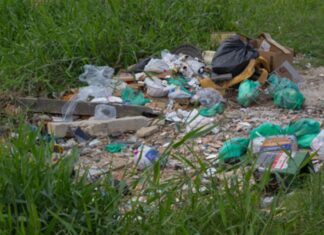 PREFEITURA DE FLORIANÓPOLIS ENDURECE REGRAS CONTRA TERRENOS ABANDONADOS E DÁ PRAZO DE 48 HORAS PARA LIMPEZA