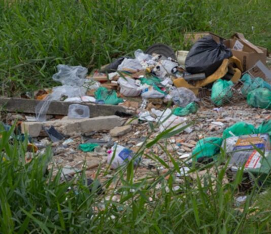 PREFEITURA DE FLORIANÓPOLIS ENDURECE REGRAS CONTRA TERRENOS ABANDONADOS E DÁ PRAZO DE 48 HORAS PARA LIMPEZA